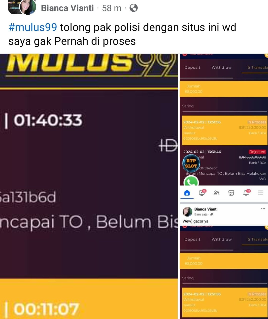 mulus99